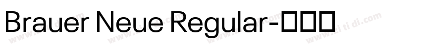 Brauer Neue Regular字体转换